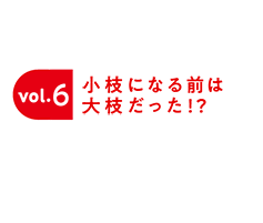 vol6